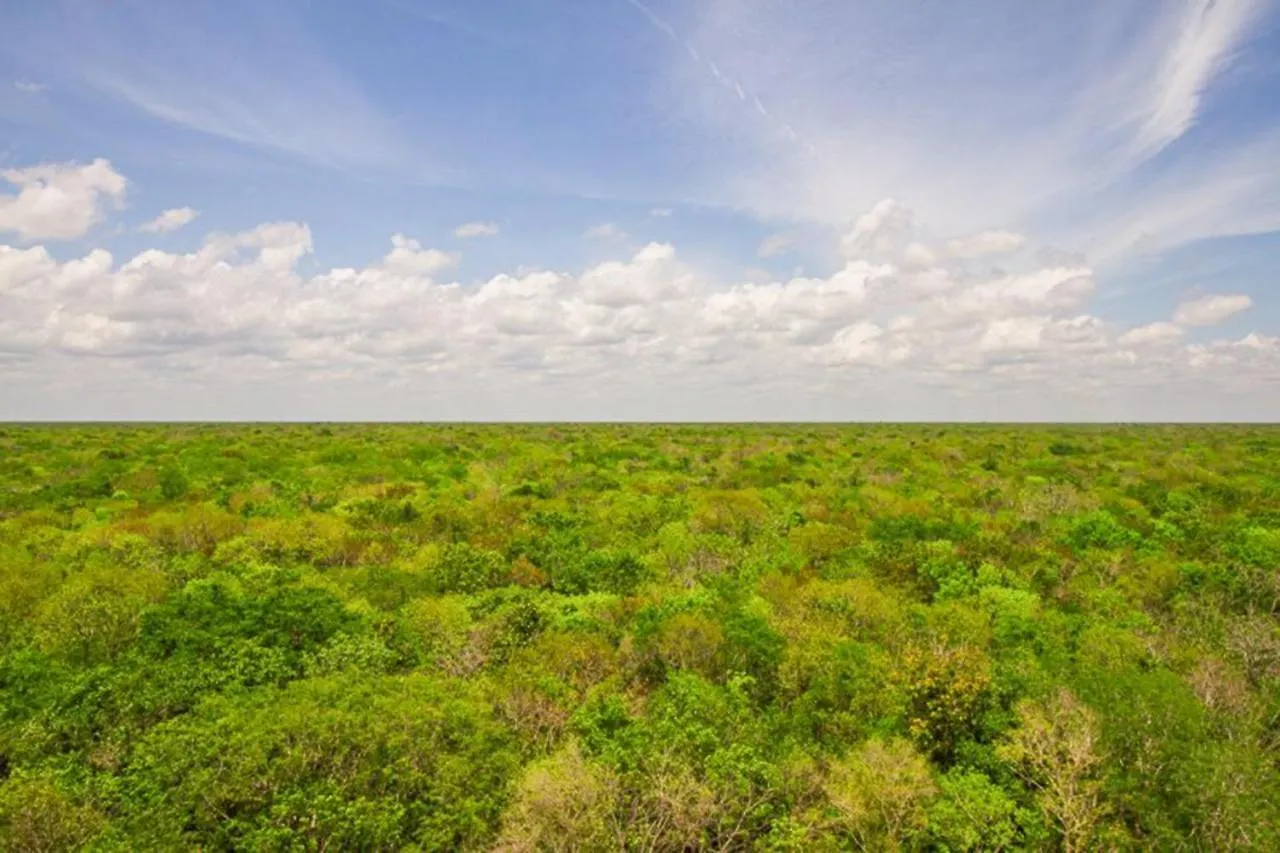 Ciudad Mayakoba Homes By Vimex Playa del Carmen Appartamento